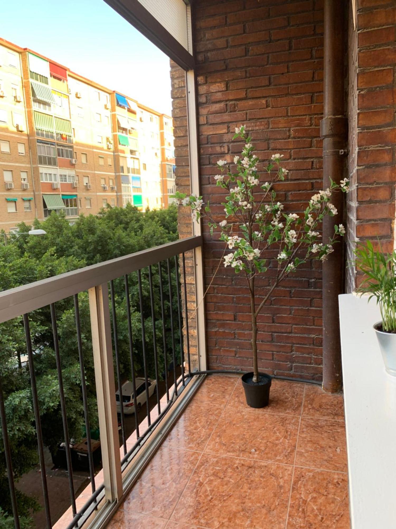 Bueno, Bonito Y Barato Apartment Malaga Exterior photo